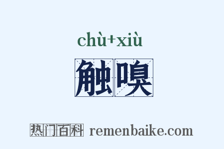 触嗅是什么意思的图片